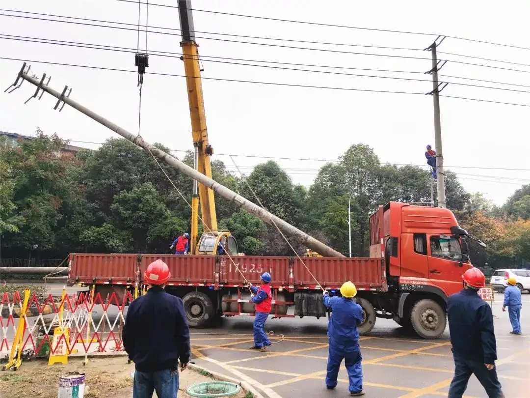 水泥电线杆案例